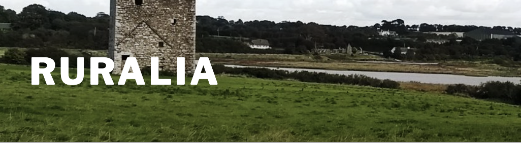 RURALIA conference – Countryside and towns. Rural settlements in the context of urban hinterlands in the Medieval and Modern Periods, Kłodzko, 2025